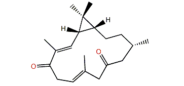 Sinularcasbane B